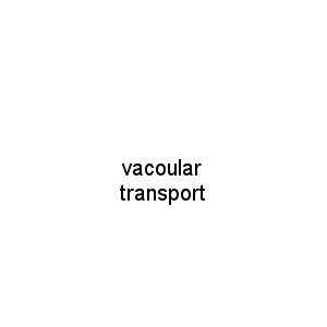 vacoular transport